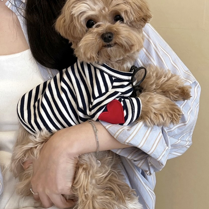 Chaleco para Perros Pequeños,  - Sleeveless Undershirt reseña y precio
